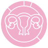 Pelvic disorders icon